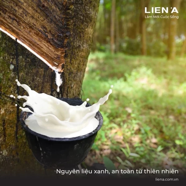 Đệm cao su Liên Á Fivezone-7