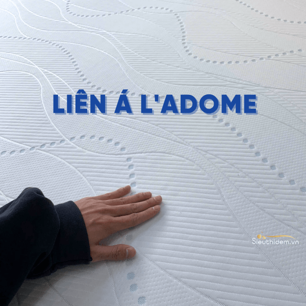 Đệm cao su Liên Á Ladome-4