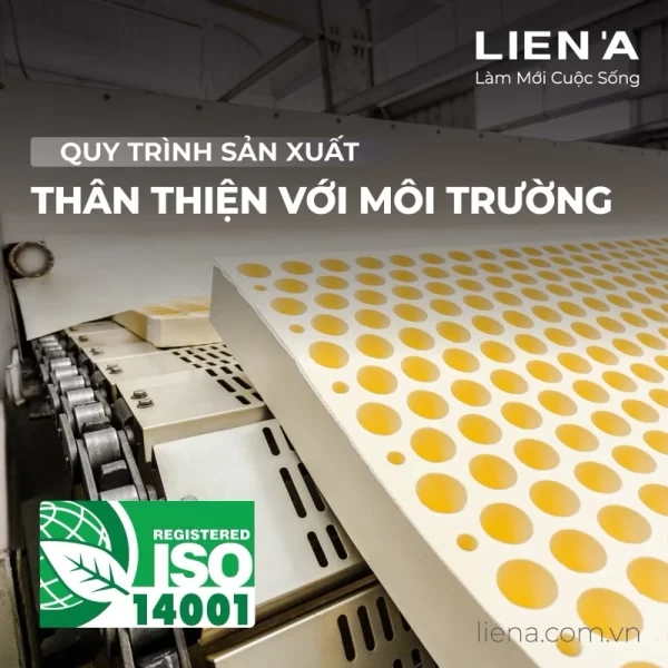 Đệm cao su Liên Á Ladome Premium-7