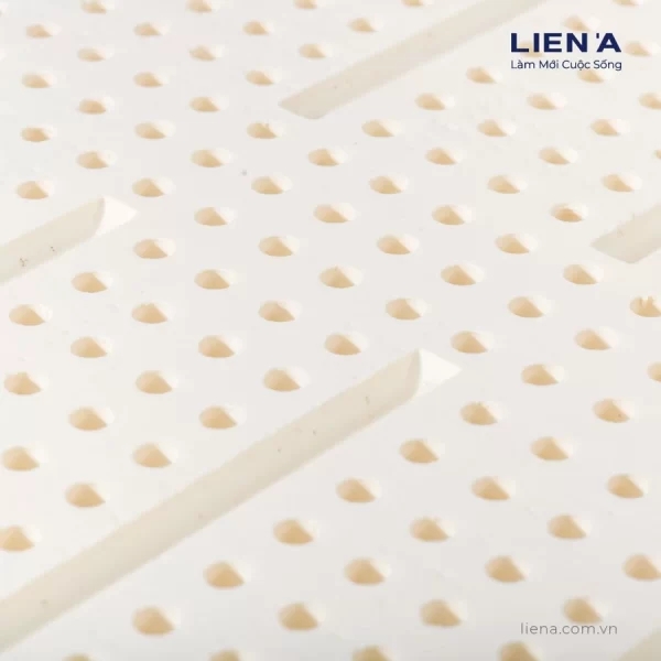 Đệm cao su Liên Á Ladome Premium-6
