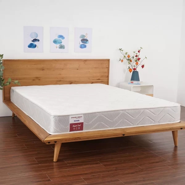 Đệm lò xo Dunlopillo Venus-6