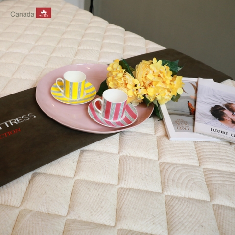 Đệm lò xo Canada Mysteriuos-7
