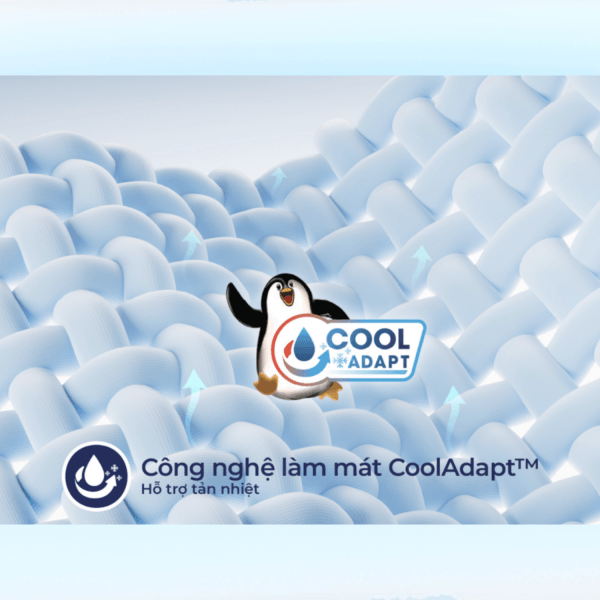 Đệm cao su Liên Á Ladome Cool-2