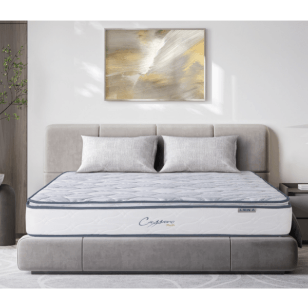 ĐỆM LÒ XO LIÊN Á CASSARO PLUSH-1