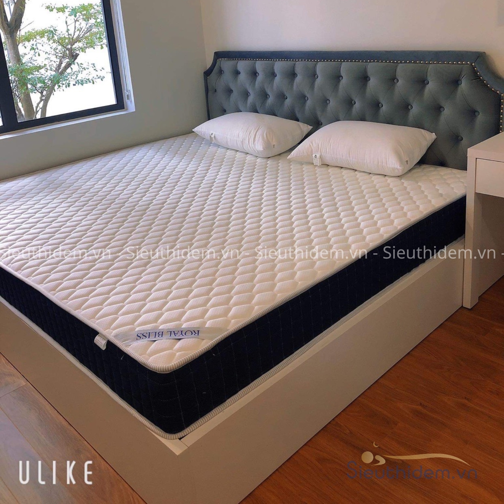 Đệm lò xo liên kết Royal Bliss-12