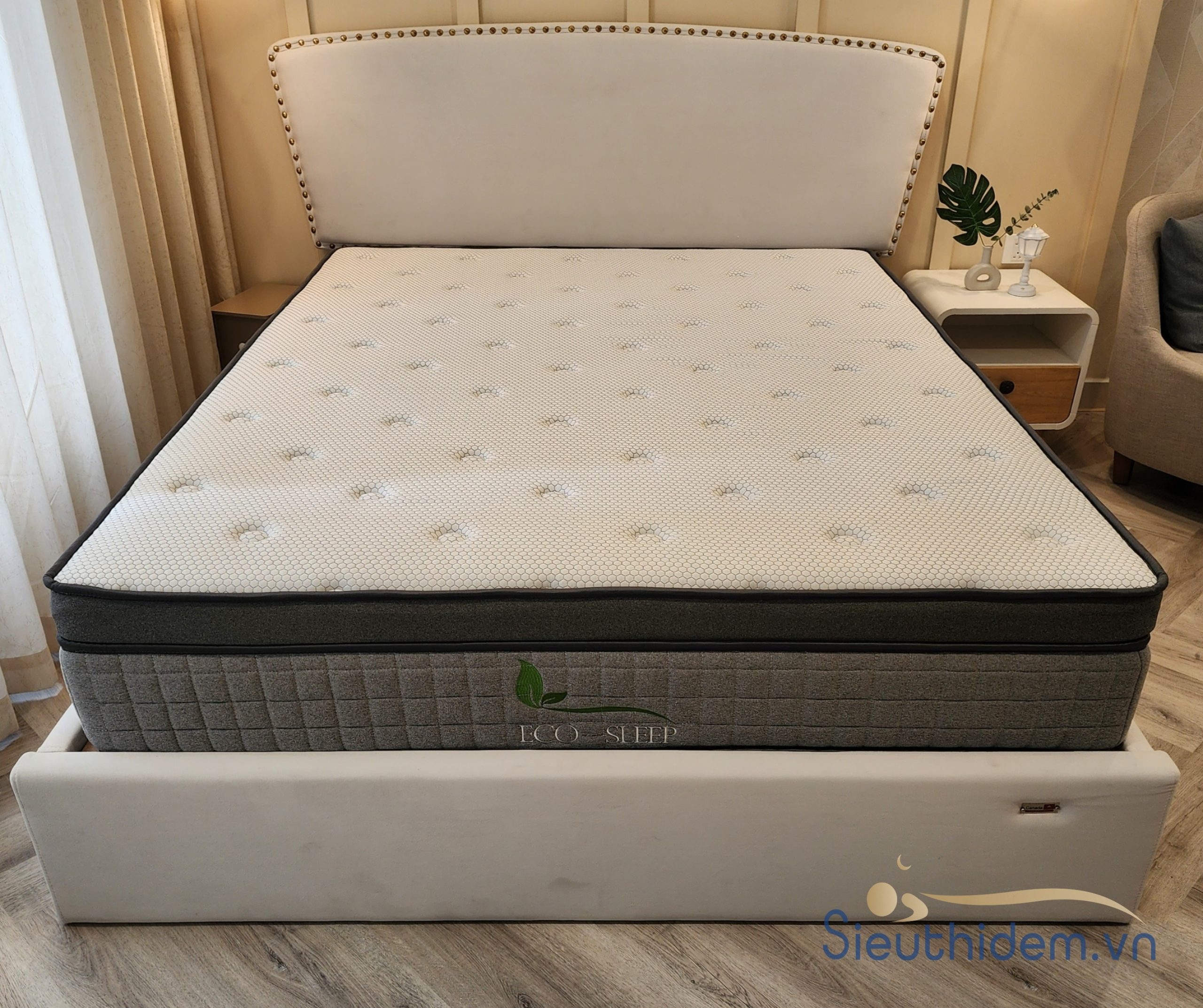 Đệm lò xo túi cao su Eco Sleep-2