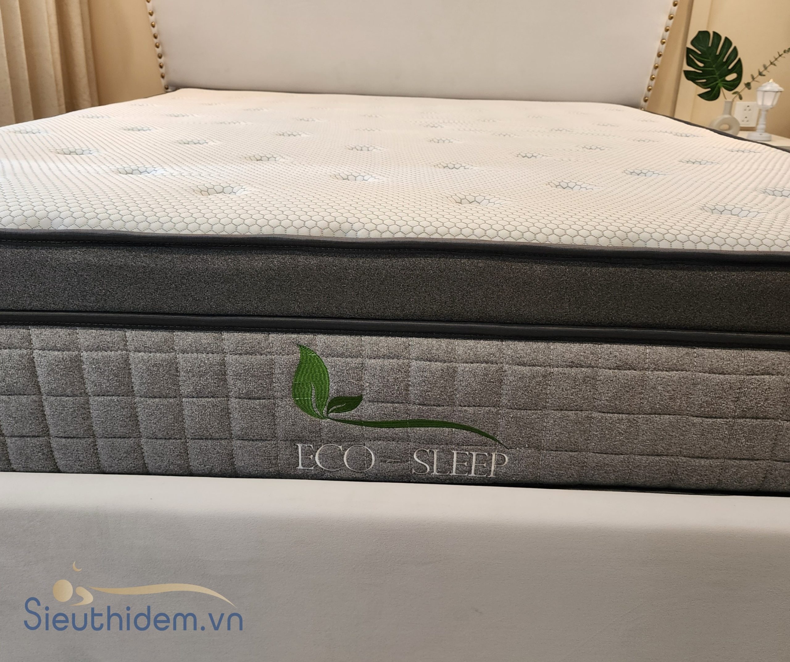 Đệm lò xo túi cao su Eco Sleep-4