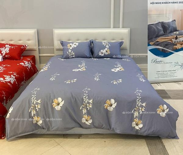 Combo chăn ga gối đệm cho người cao tuổi