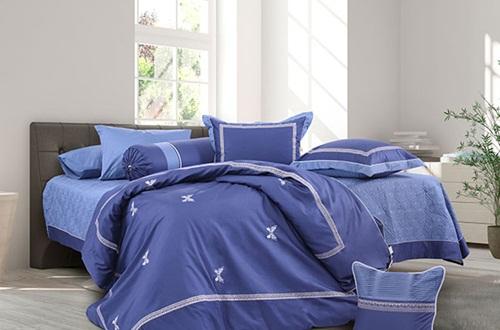 Cách Chọn Mua Đệm Cao Su Hanvico Chính Hãng, Phù Hợp Với Nhu Cầu Gia