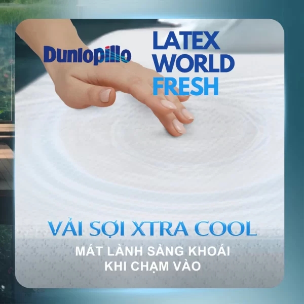 Đệm cao su Dunlopillo Latex World Eco Fresh dày 25cm-7