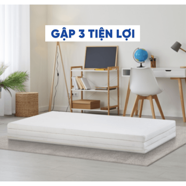 Đệm cao su gấp Liên Á FOLDAWAY-2
