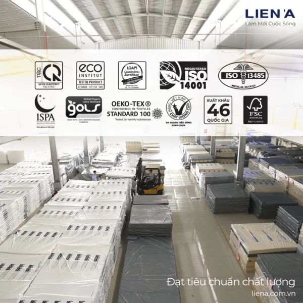 Đệm cao su Liên Á than hoạt tính Ladome Grey Premium-8