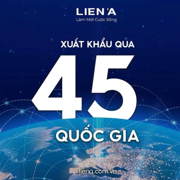 Đệm cao su Liên Á than hoạt tính Ladome Grey Premium-9