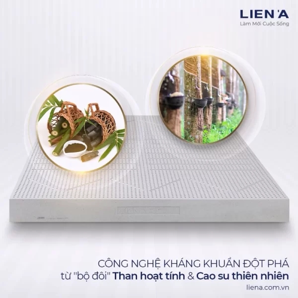 Đệm cao su Liên Á than hoạt tính Ladome Grey-2