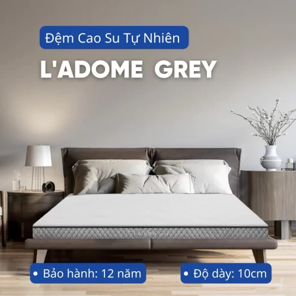 Đệm cao su Liên Á than hoạt tính Ladome Grey-0
