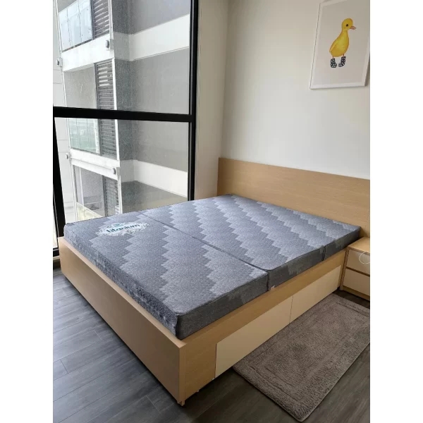 Đệm bông ép cao su Kim Cương Titanium-4