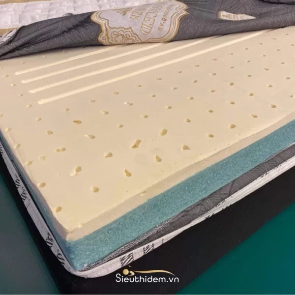 Đệm bông ép cao su Kim Cương Titanium-6