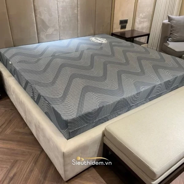 Đệm bông ép cao su Kim Cương Titanium-3