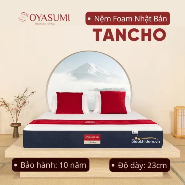 Đệm foam Nhật Bản Inoac Oyasumi Tancho-0