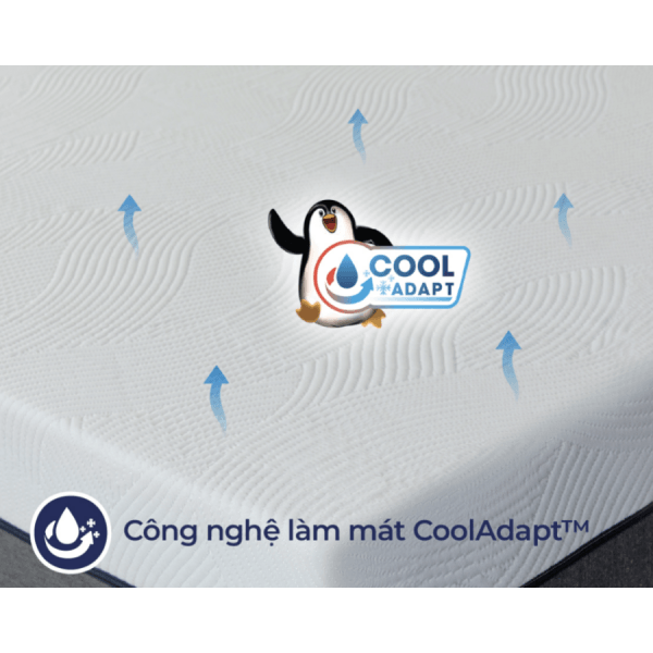 Đệm cao su Liên Á Hybrid IKI Premium 20 cm (160 x 200)-5