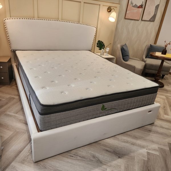 Đệm lò xo túi cao su Eco Sleep (160 x 200)-1