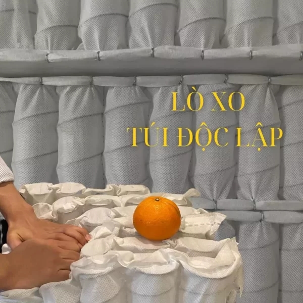 Đệm lò xo túi độc lập Royal Amber-8