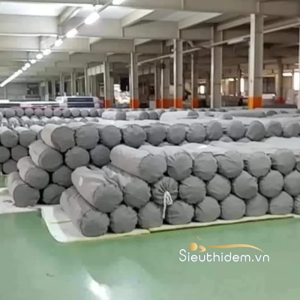 Đệm lò xo túi độc lập Royal Dream-8