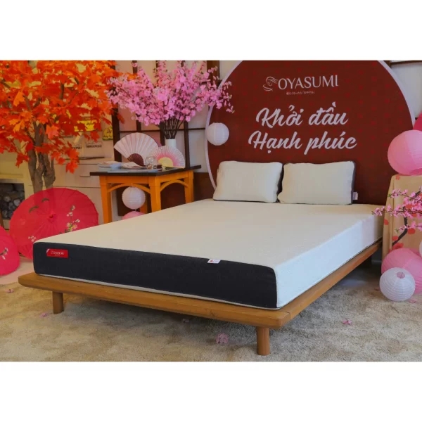Đệm foam đa tầng Massage Inoac Oyasumi 7 zone-1