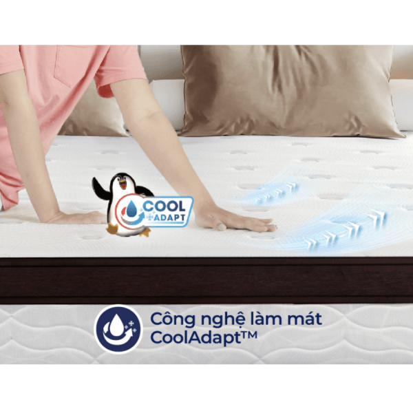 ĐỆM LÒ XO LIÊN Á COCOON 2.0 PREMIUM-3