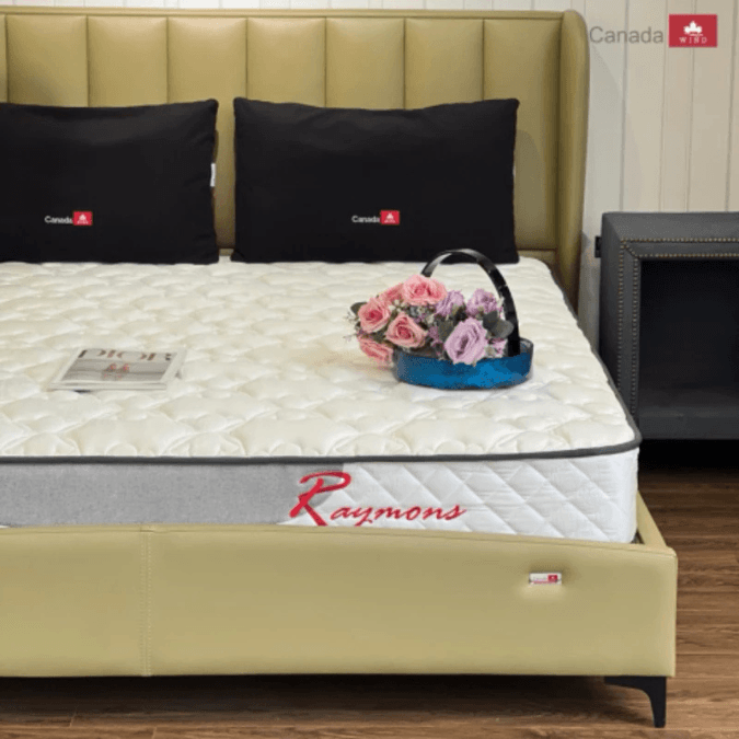 Đệm lò xo Canada Raymons (160 x 200)-2